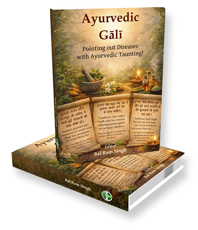 Ayurvedic Gali
